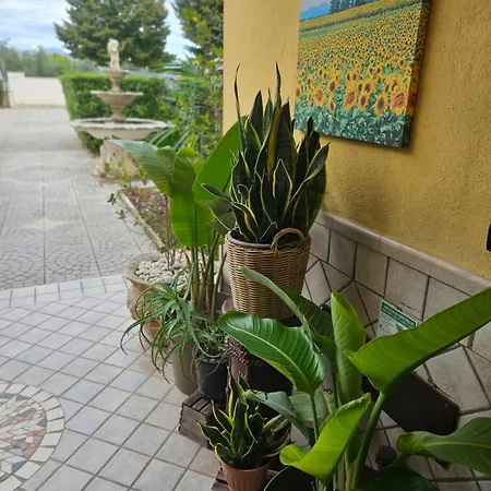 Garden Πανσιόν 3*